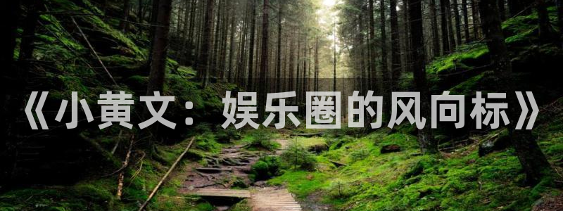 琳琅娱乐